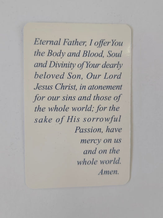 Divine Mercy Praying Card (JL33)