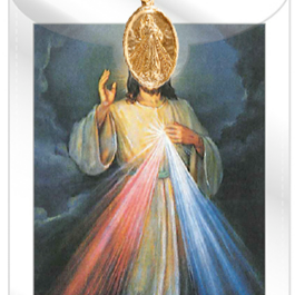 Medal & Leaflet/Divine Mercy. (7140/DM)